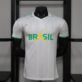 Brazil Jordan Canary Legend