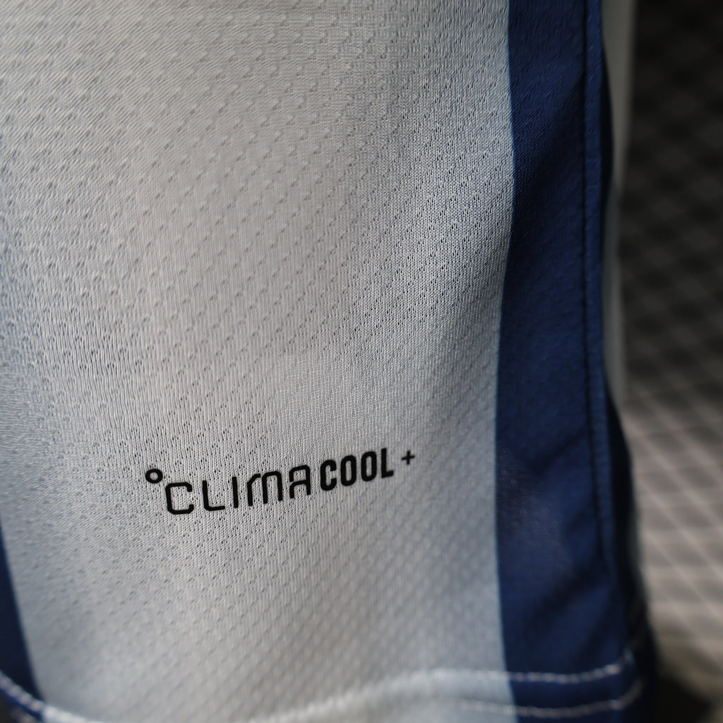 Japan Indigo Rising Stripes