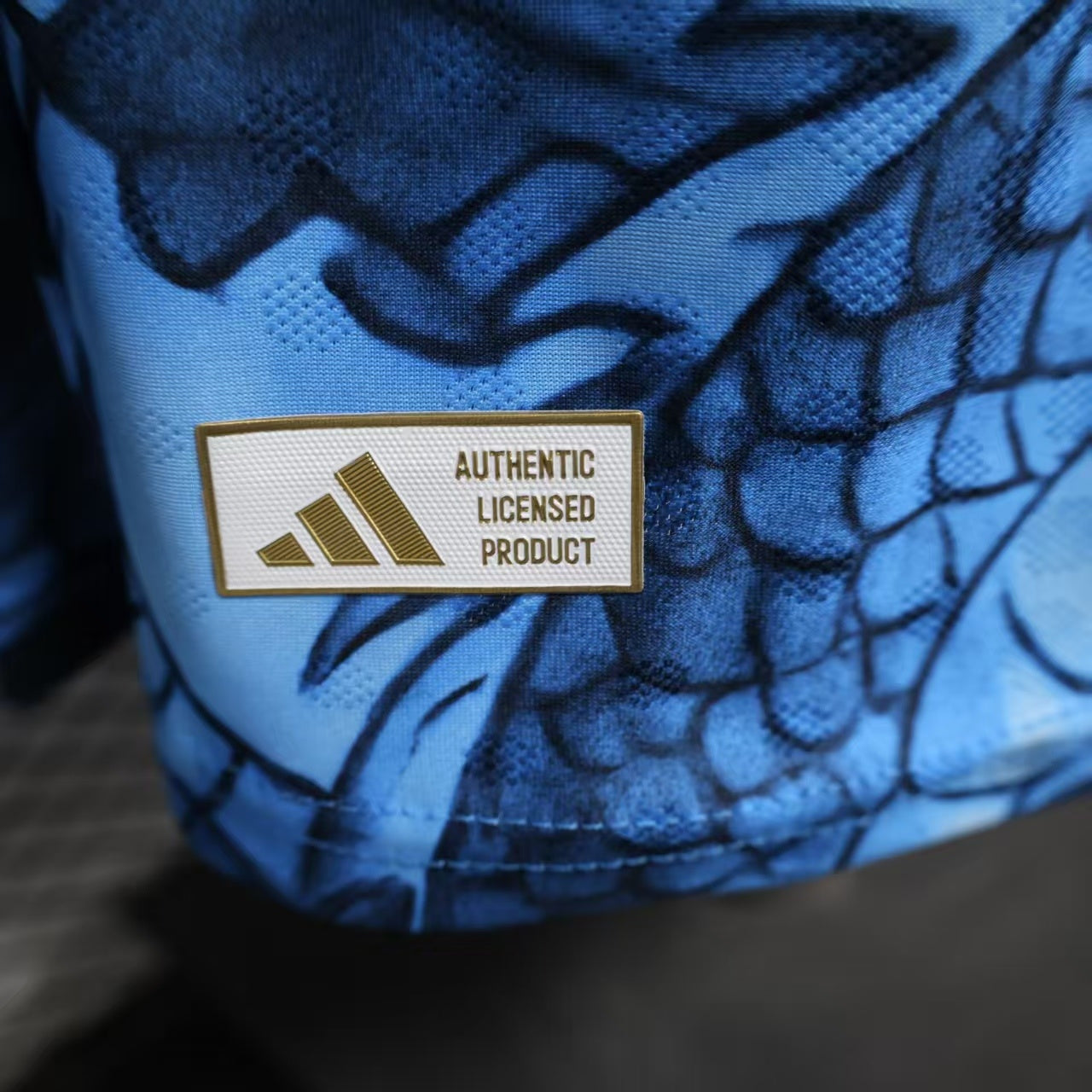 Japan Azure Dragon Samurai