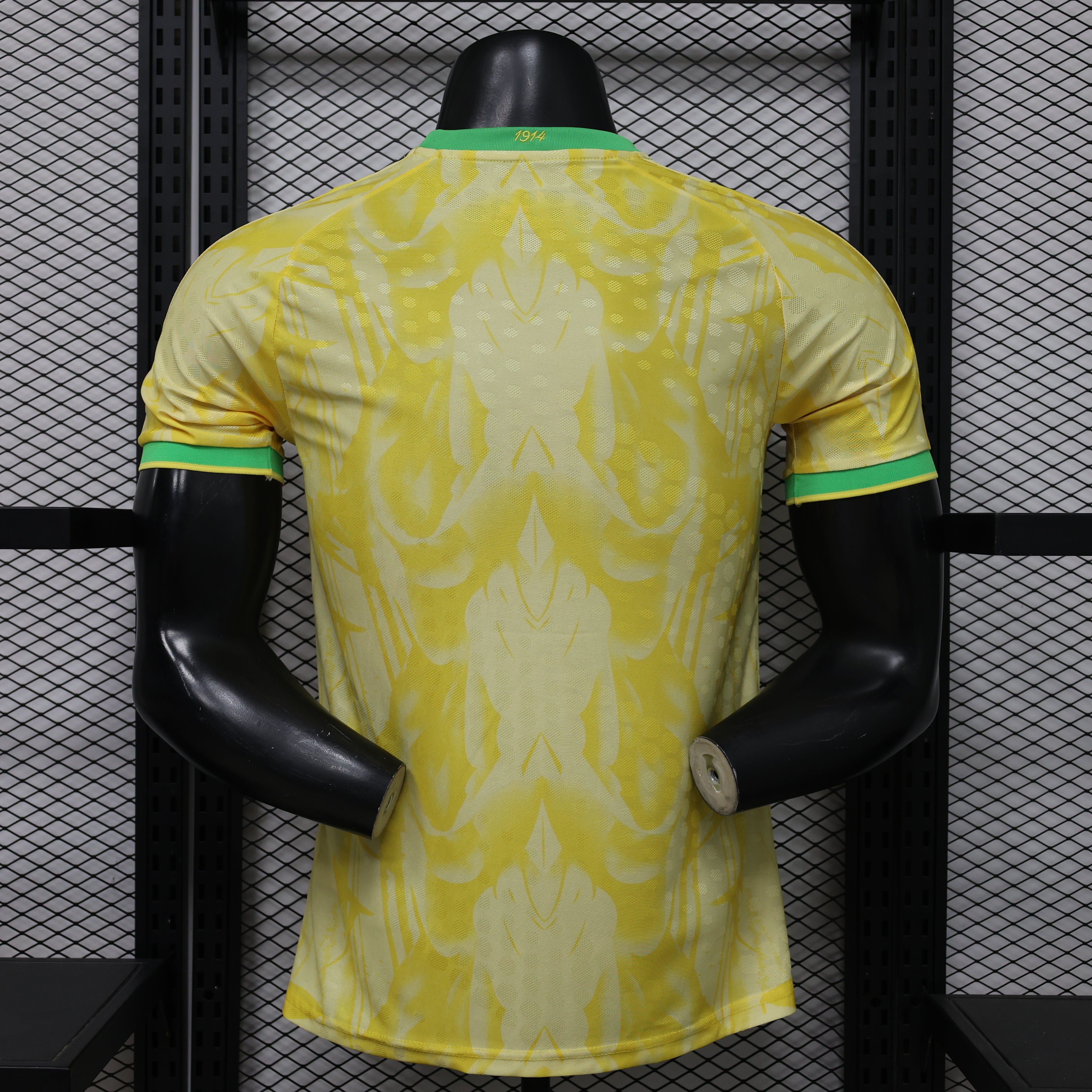 26 Brazil CANARY AURORA