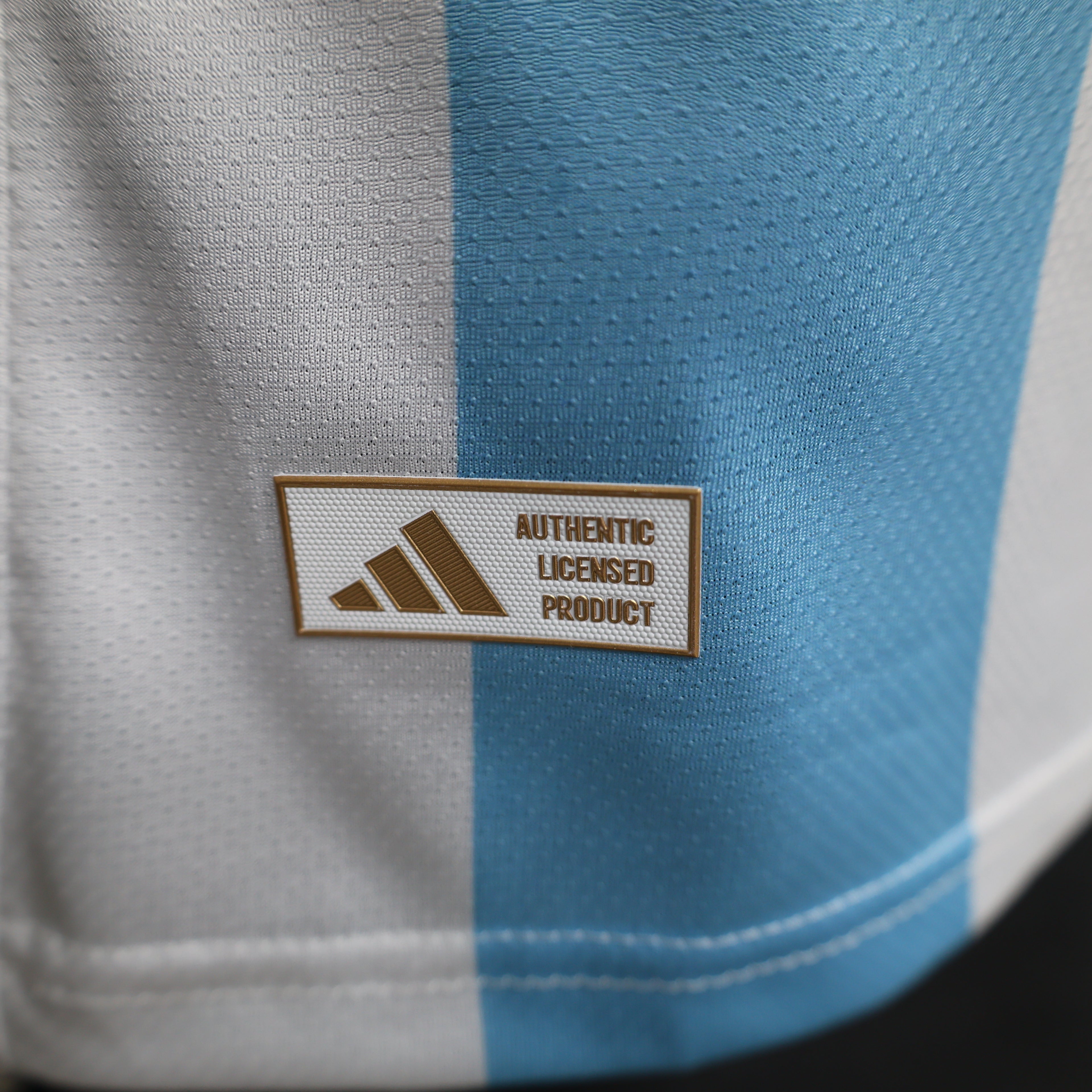 Argentina Skyline Champions Premium Jersey