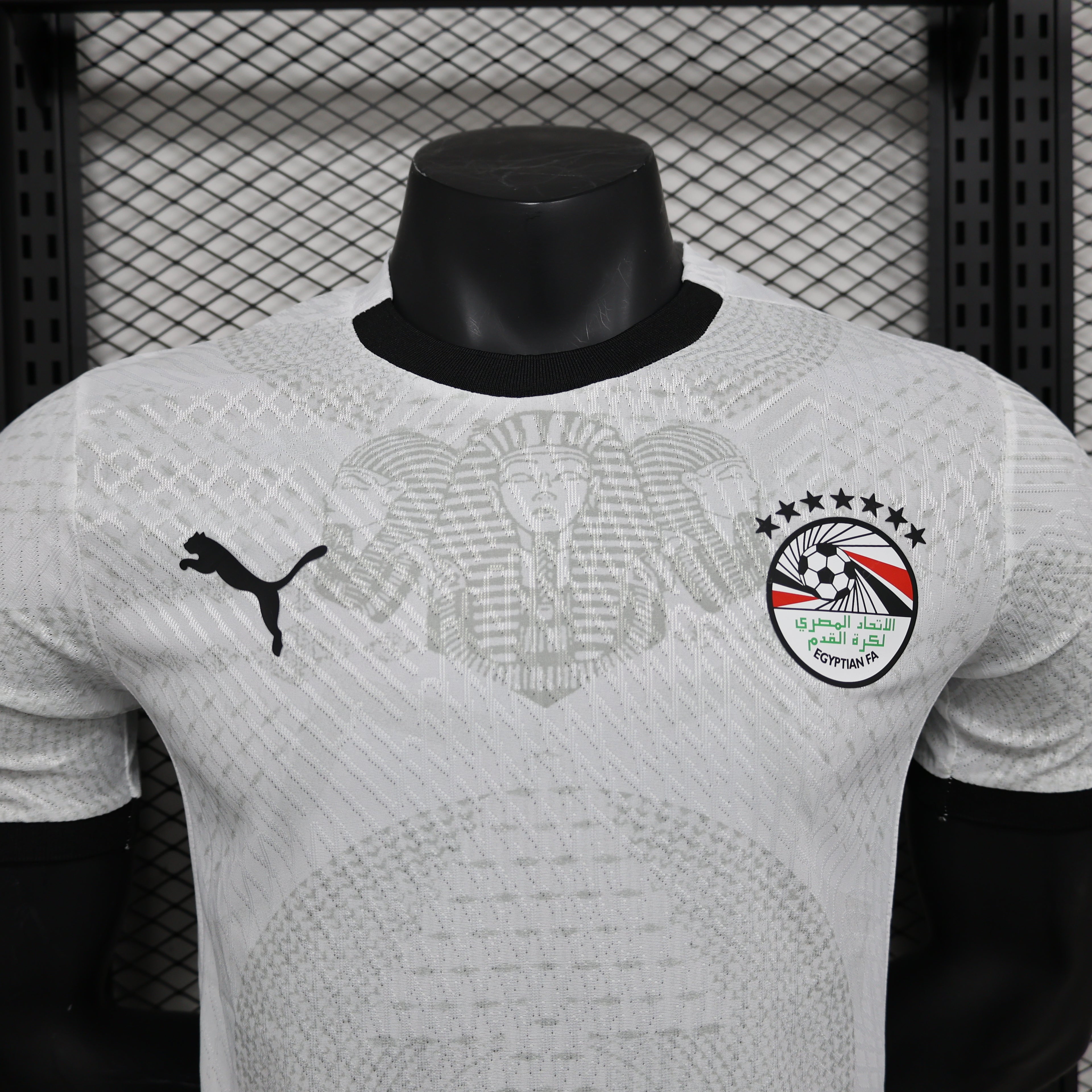Egypt 26/27 Away