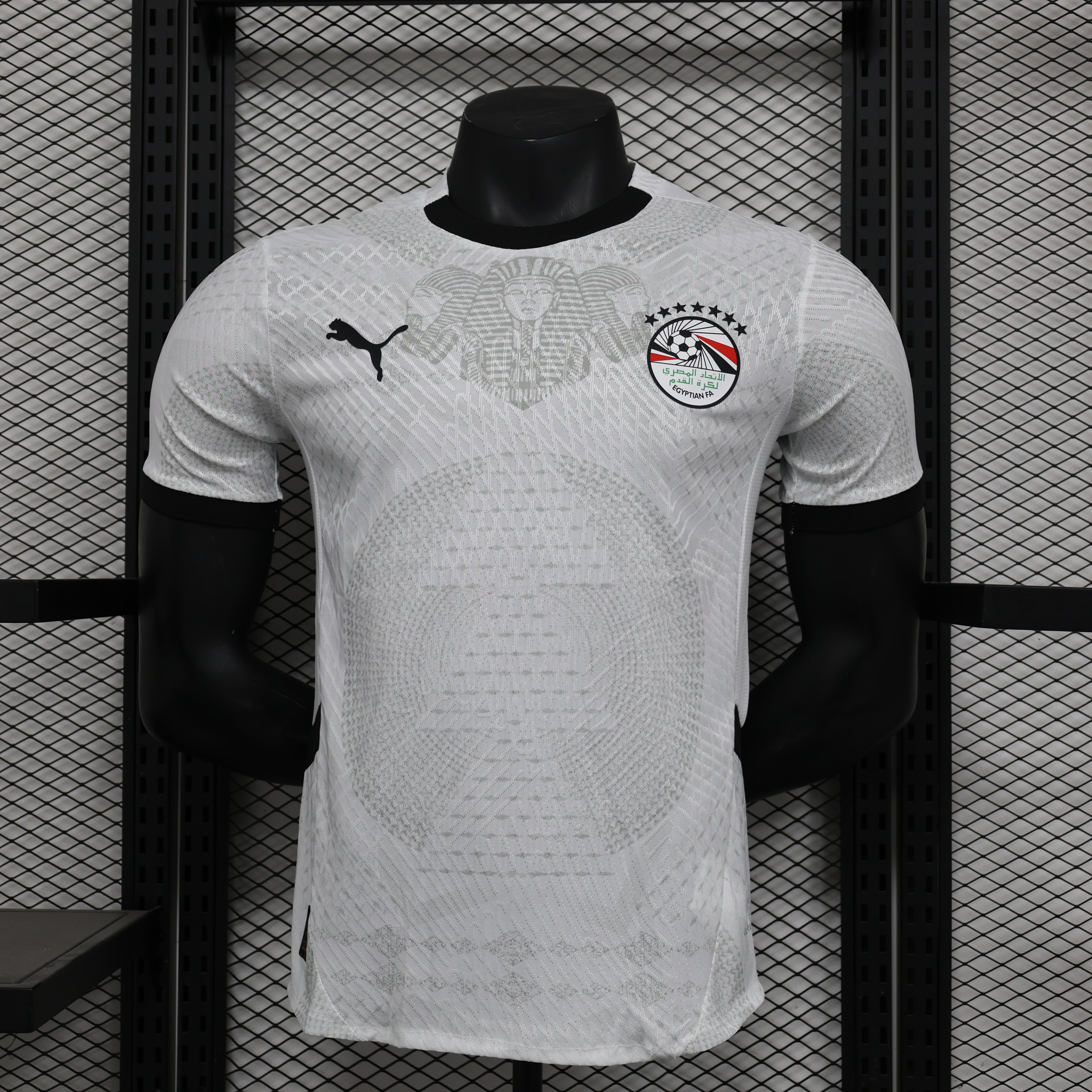 Egypt 26/27 Away