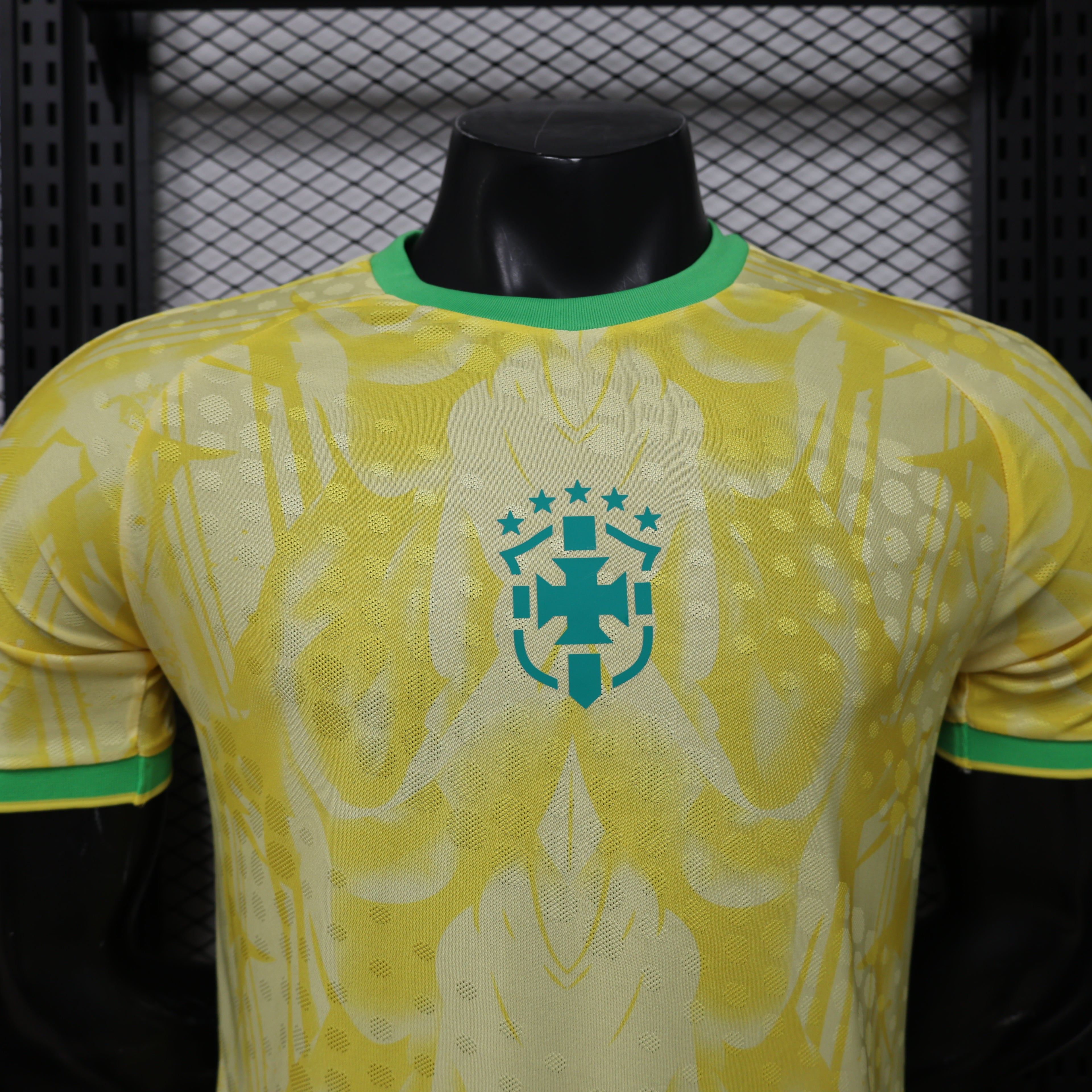 26 Brazil CANARY AURORA