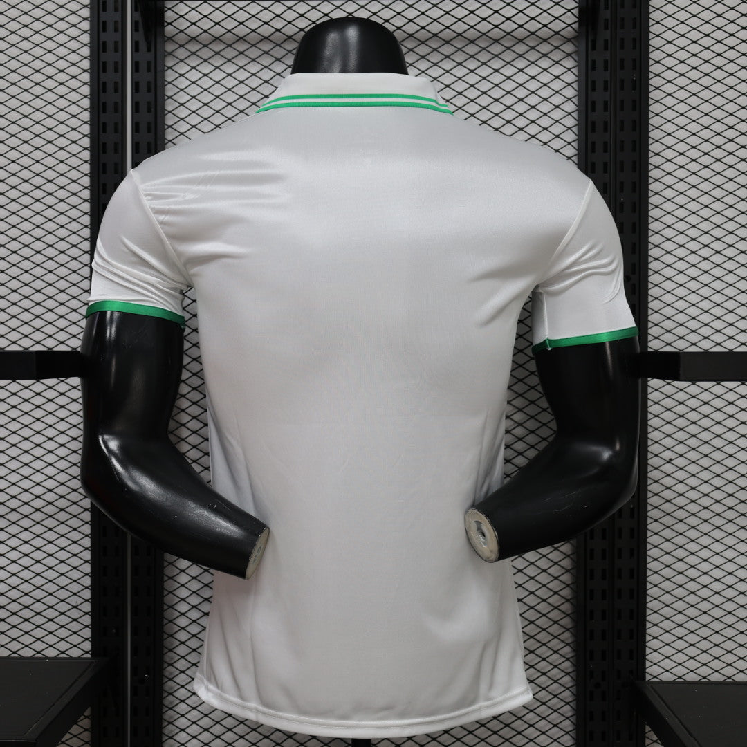 Brazil Jordan Canary Legend