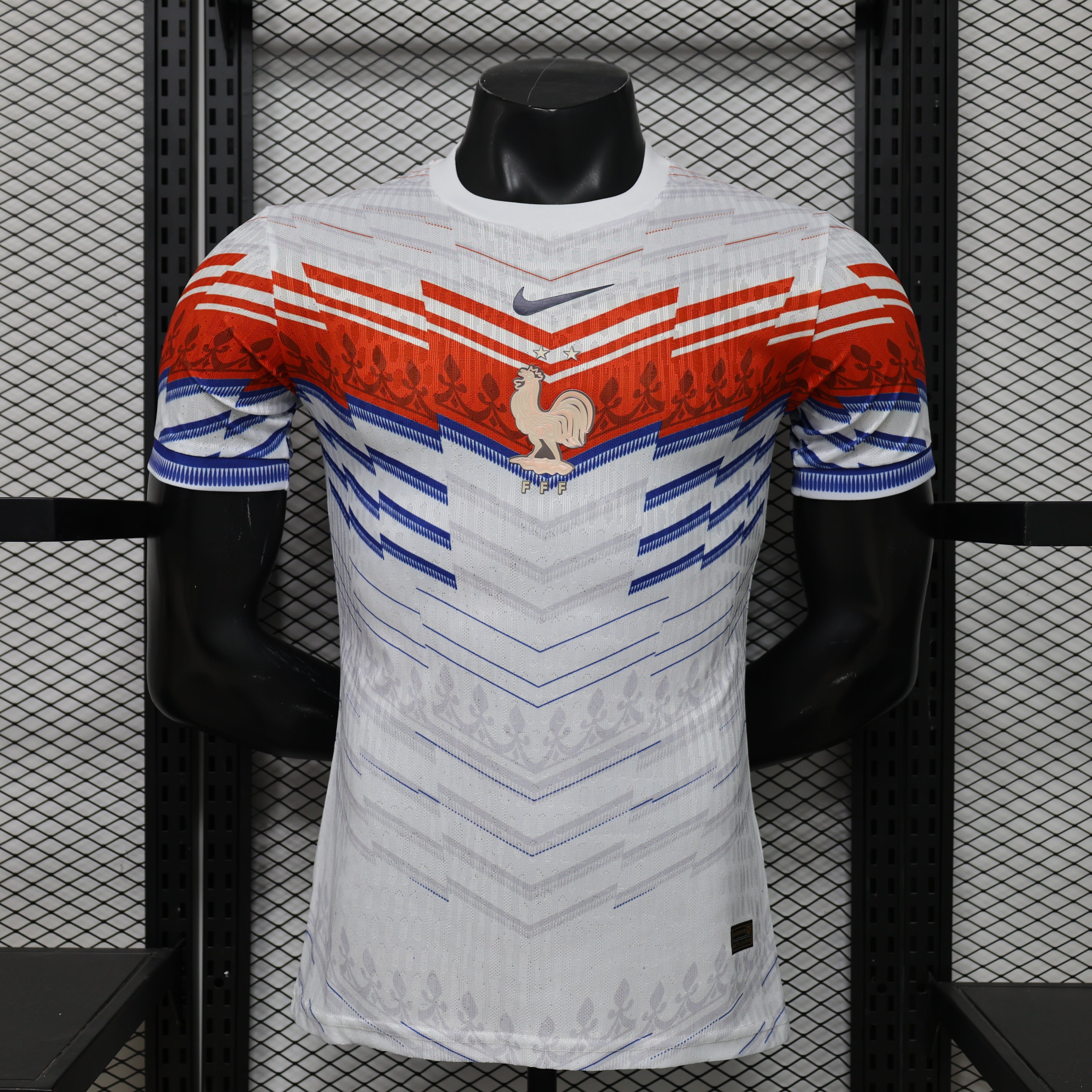 26 France Alpine Tricolor
