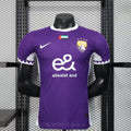 Al Ain 25/26 Home