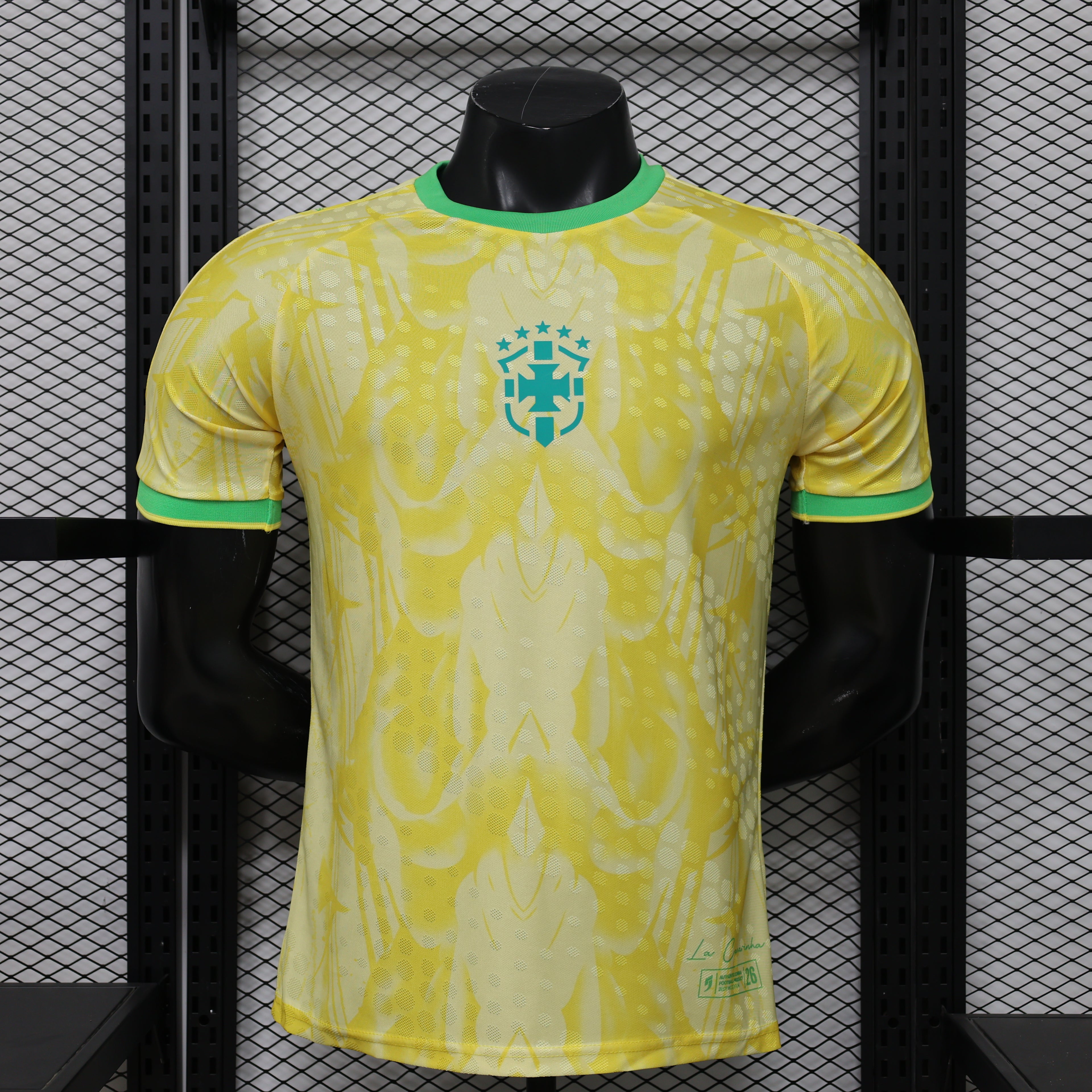 26 Brazil CANARY AURORA