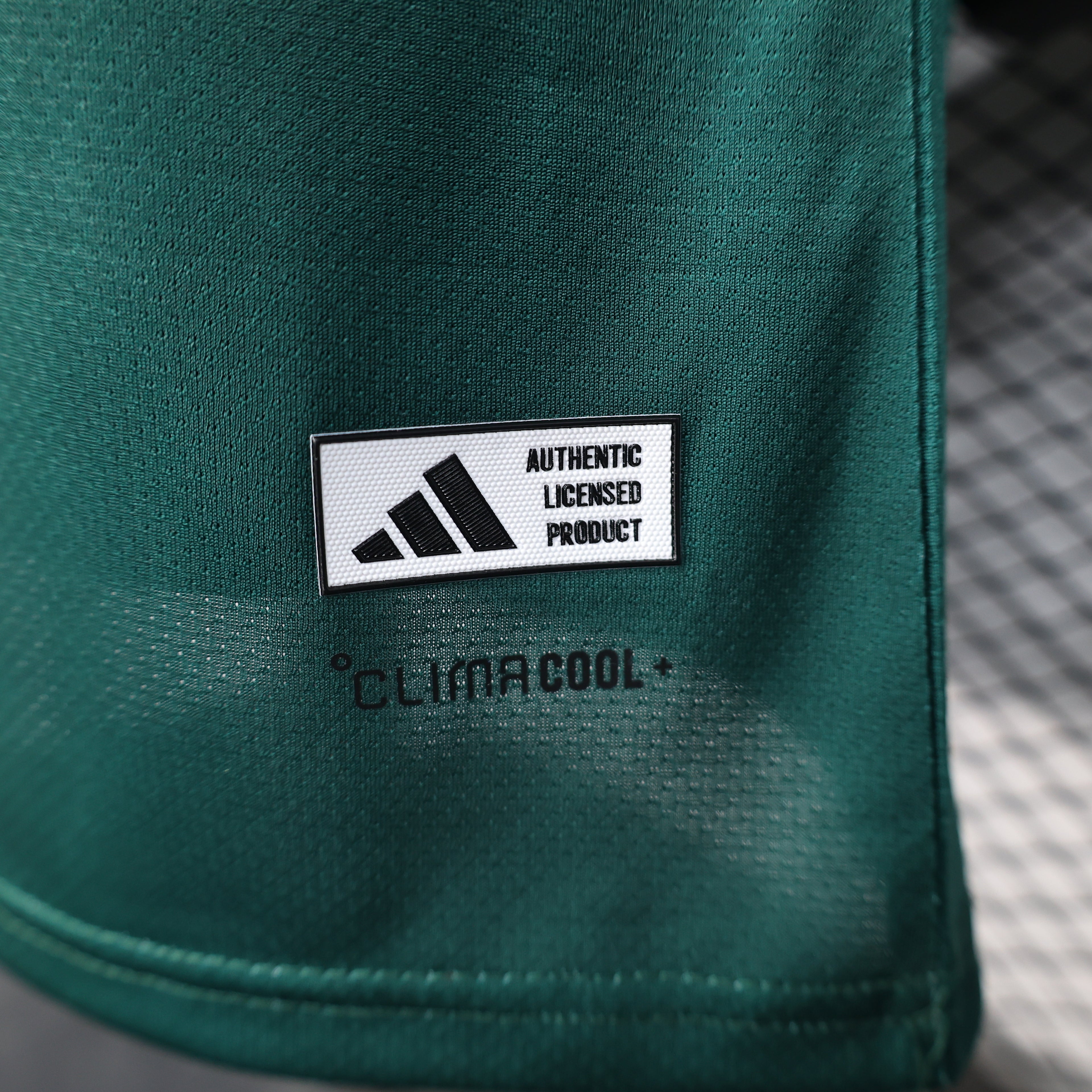 Saudi Arabia Desert Emerald Jersey